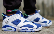 Load image into Gallery viewer, Air Jordan 6th White/Blue